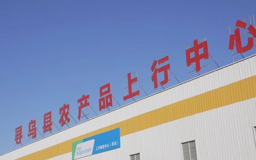 菜鸟物流科技下乡 江西寻乌农产品进城 快递进村 上新 自动化