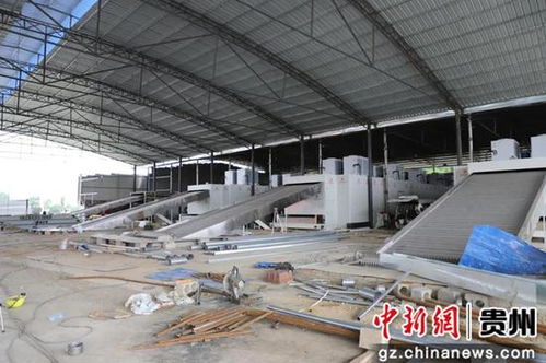 贵州毕节金海湖新区辣椒加工厂8月中旬 上线