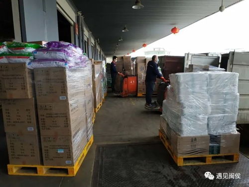 强调度,保畅通,闽侯生活物资寄递无忧